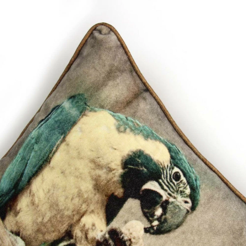 Coussin Perroquet 2 Coussin Perroquet – Image 2