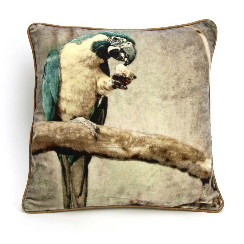Coussin Perroquet 1 Coussin Perroquet