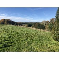 Fournil Avec Possibilité D'agrandissement -Épicerie Soldes Boutique fournil avec possibilite d agrandissement 3