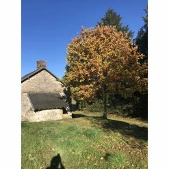 Fournil Avec Possibilité D'agrandissement -Épicerie Soldes Boutique fournil avec possibilite d agrandissement 5