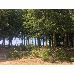 Maison D'Architecte -Épicerie Soldes Boutique maison d architecte 13