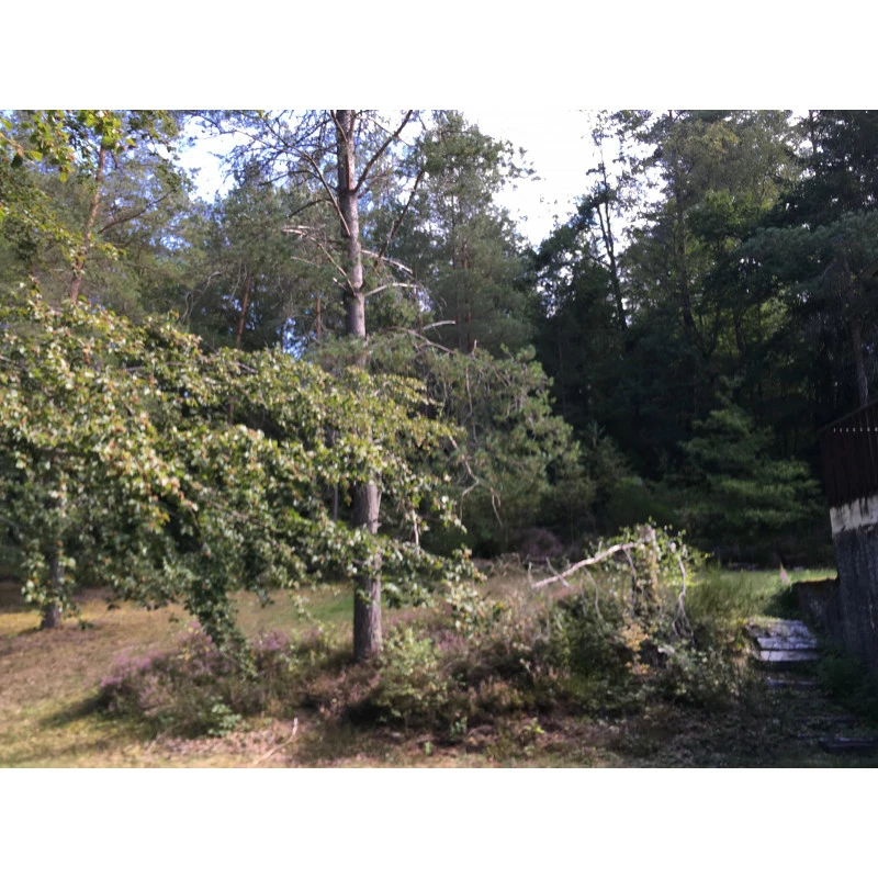 Propriété De 17ha 4 Propriété De 17ha – Image 4