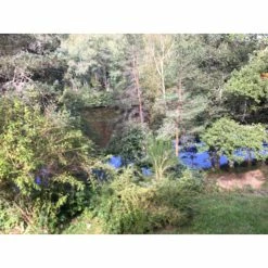 Propriété De 17ha 20 Propriété De 17ha -Épicerie Soldes Boutique propriete 9