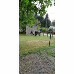 Propriété Entre Bort Les Orgues Et Ussel -Épicerie Soldes Boutique propriete entre bort les orgues et ussel 9