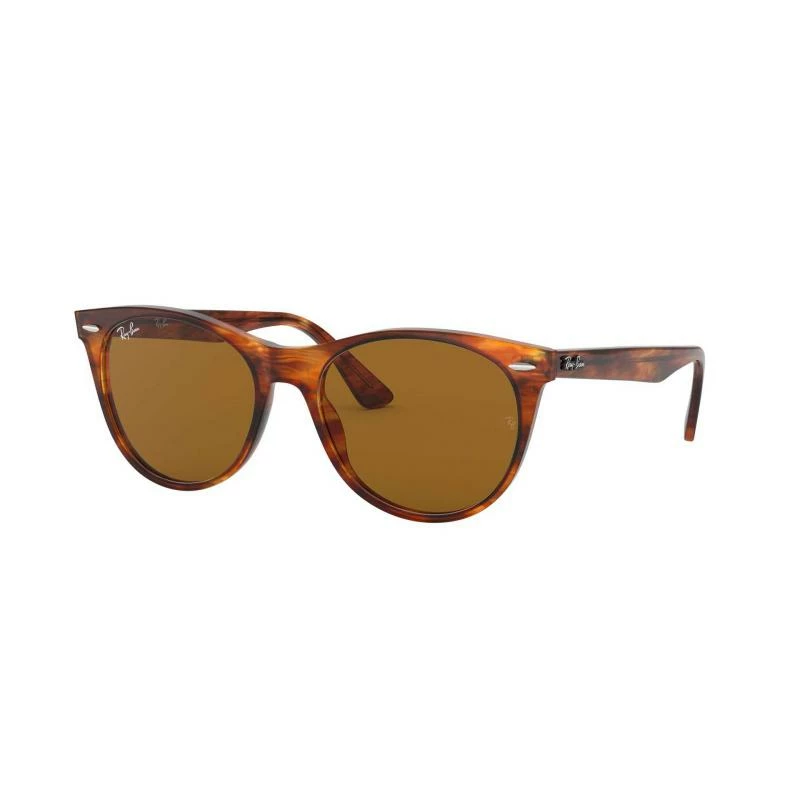 Ray-Ban Rb2185 1 Ray-Ban Rb2185